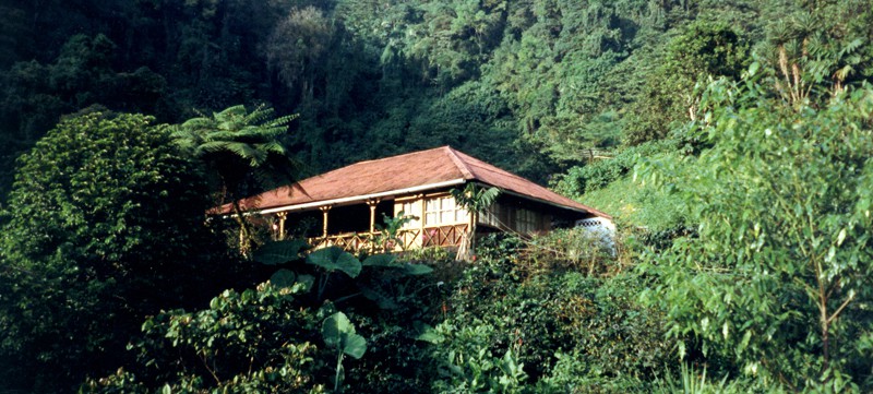 Die Finca San Carlos